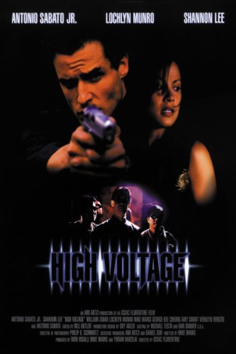 High Voltage (1997) - Movies Most Similar to Black Gunn (1972)